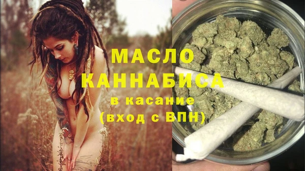 тгк Абаза