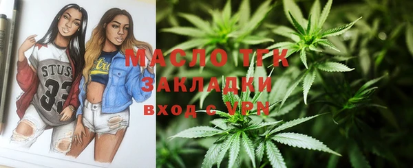 тгк Абаза