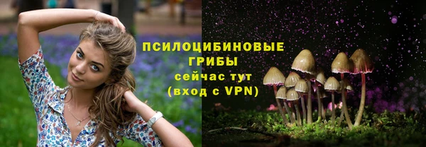 дживик Абдулино