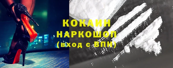 дживик Абинск