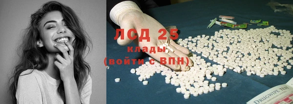 дживик Абинск
